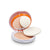 HELIOCARE Color Oil-Free Compact Brown 10gr